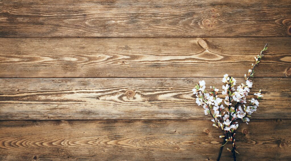 Flowers on wood texture background